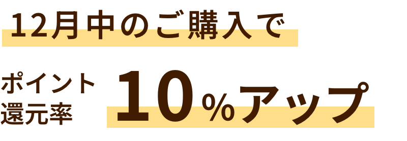 12月中のご購入でポイント還元率10％アップ