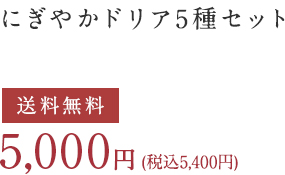 にぎやかドリア5種セット