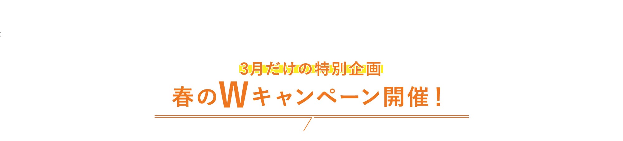 3月だけの特別企画春のWキャンペーン開催！